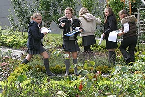 pupils on a treasure hunt